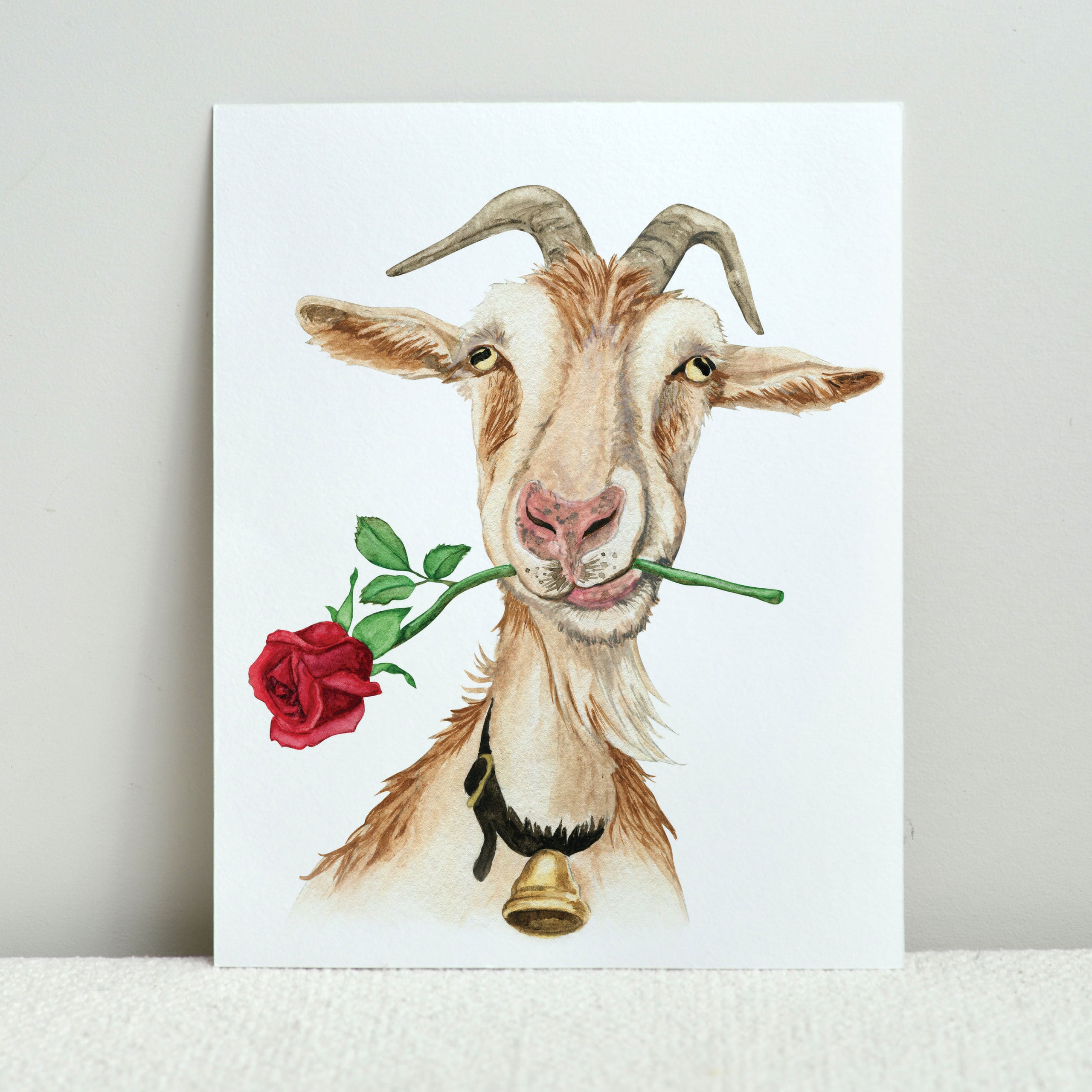 Romantic Old Goat Print - Wholesale